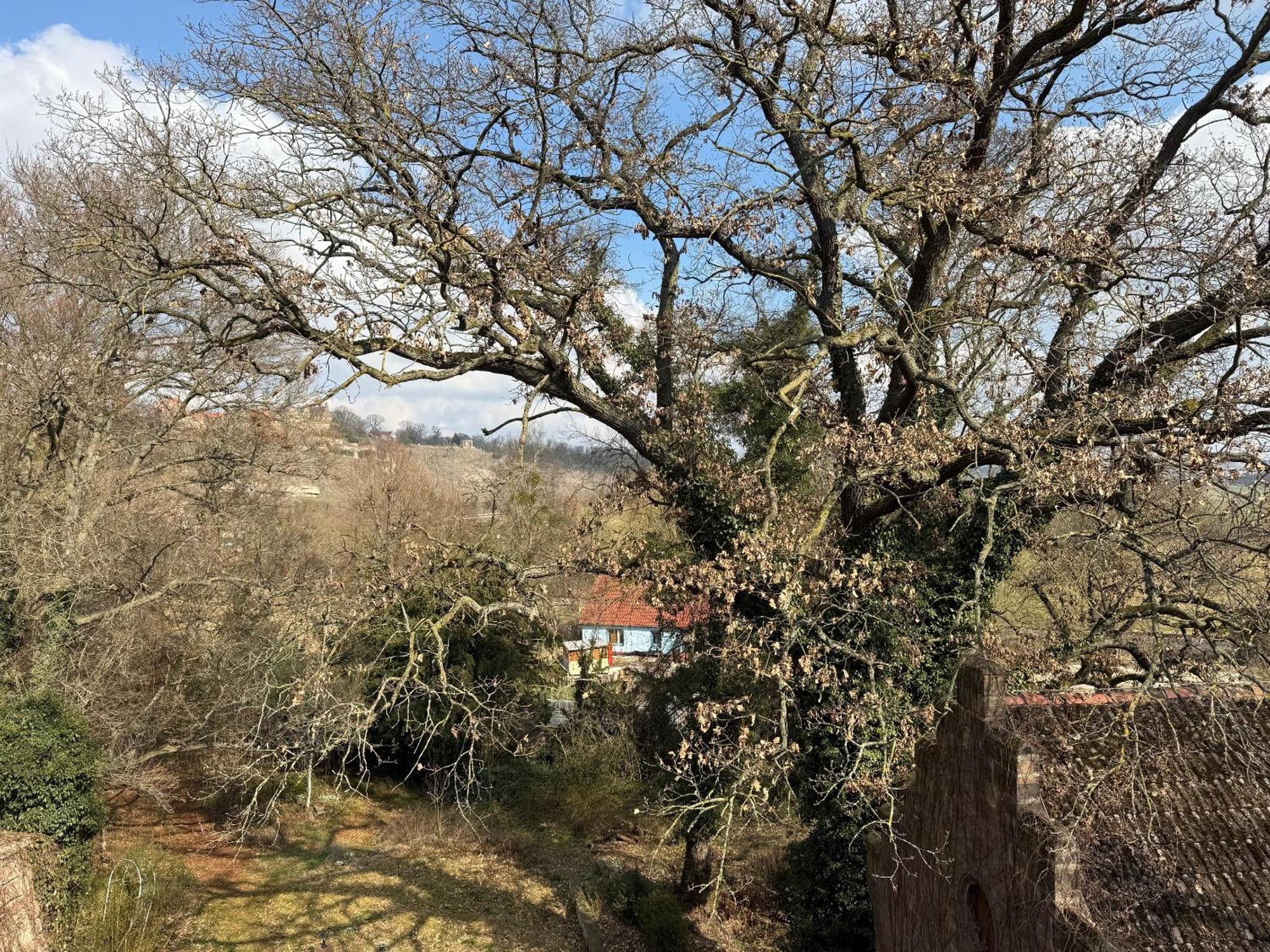 Schloss Zingst Querfurt Esterno foto